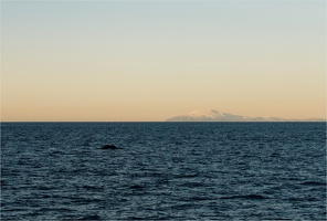 Humpback whale -- Off the coast of Reykjavik
