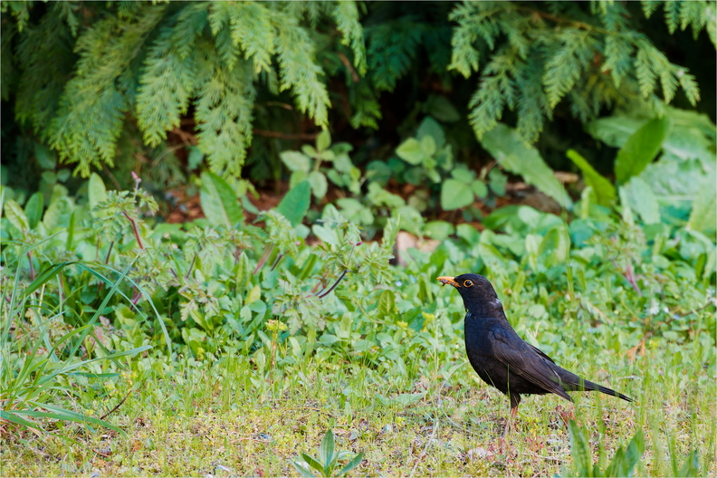 IMG_4889_DxO.jpg