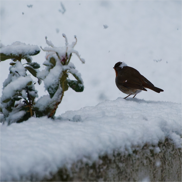 IMG_5178_DxO.jpg
