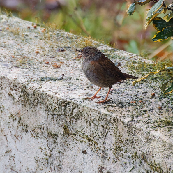 IMG_5343_DxO.jpg