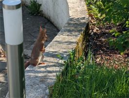 PXL 20250410 085950613