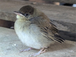 PXL 20250714 180931051