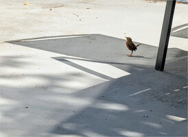 PXL 20250825 115009499~2