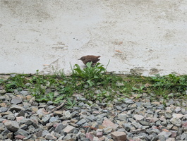 PXL 20250908 151455816