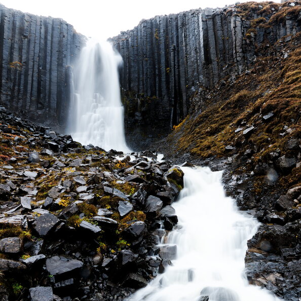 IMG_3549_DxO.jpg