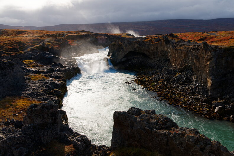IMG_3813_DxO.jpg