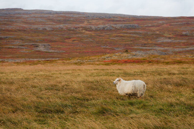 IMG_4109_DxO.jpg
