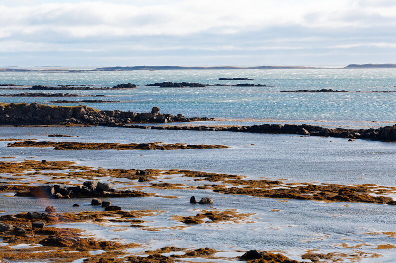 IMG_4197_DxO.jpg