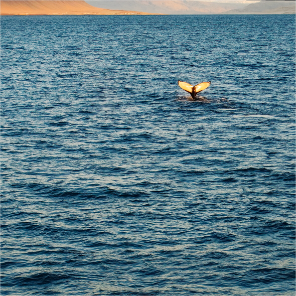 Islande_045_DxO.jpg