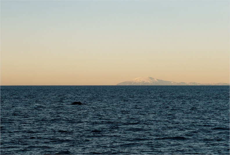 Islande_044_DxO.jpg
