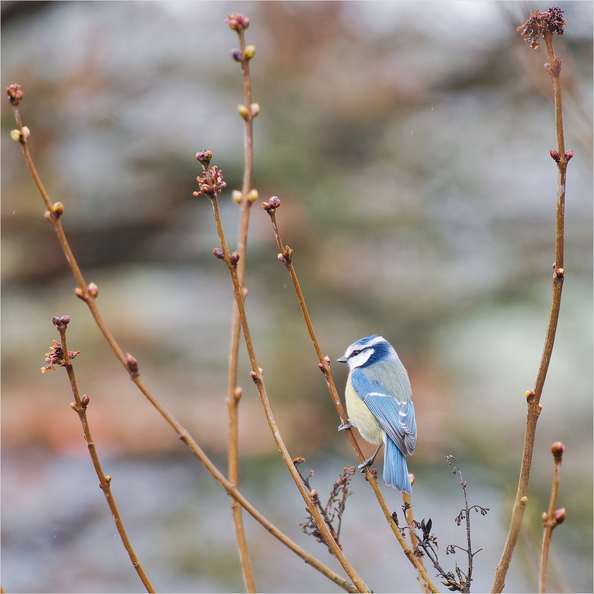 IMG_5682_DxO.jpg
