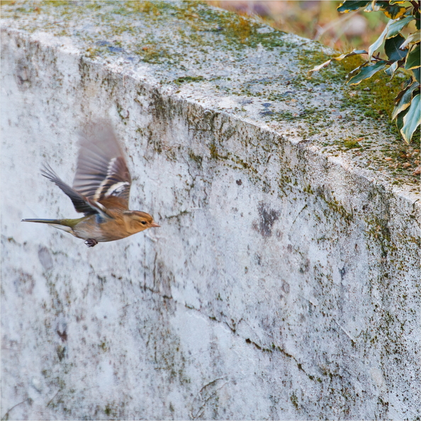 IMG_5992_DxO.jpg